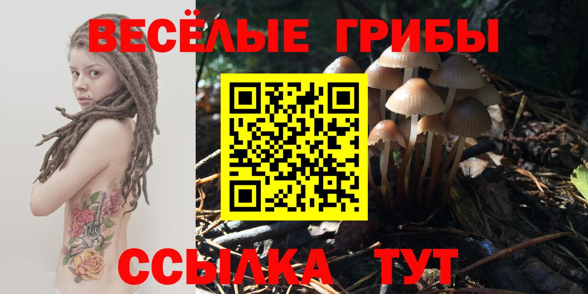 Галлюциногенные грибы MAGIC MUSHROOMS  Вход с VPN  купить   Нарткала  Псилоцибиновые грибы ЛСД 