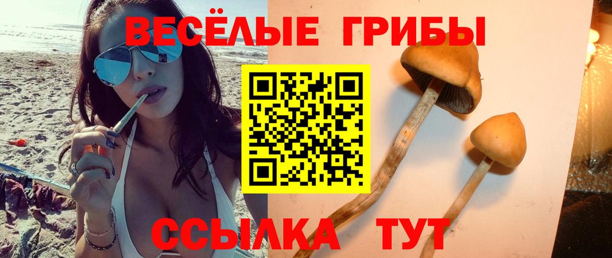 Псилоцибиновые грибы MAGIC MUSHROOMS Нарткала